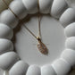 Asaya chain